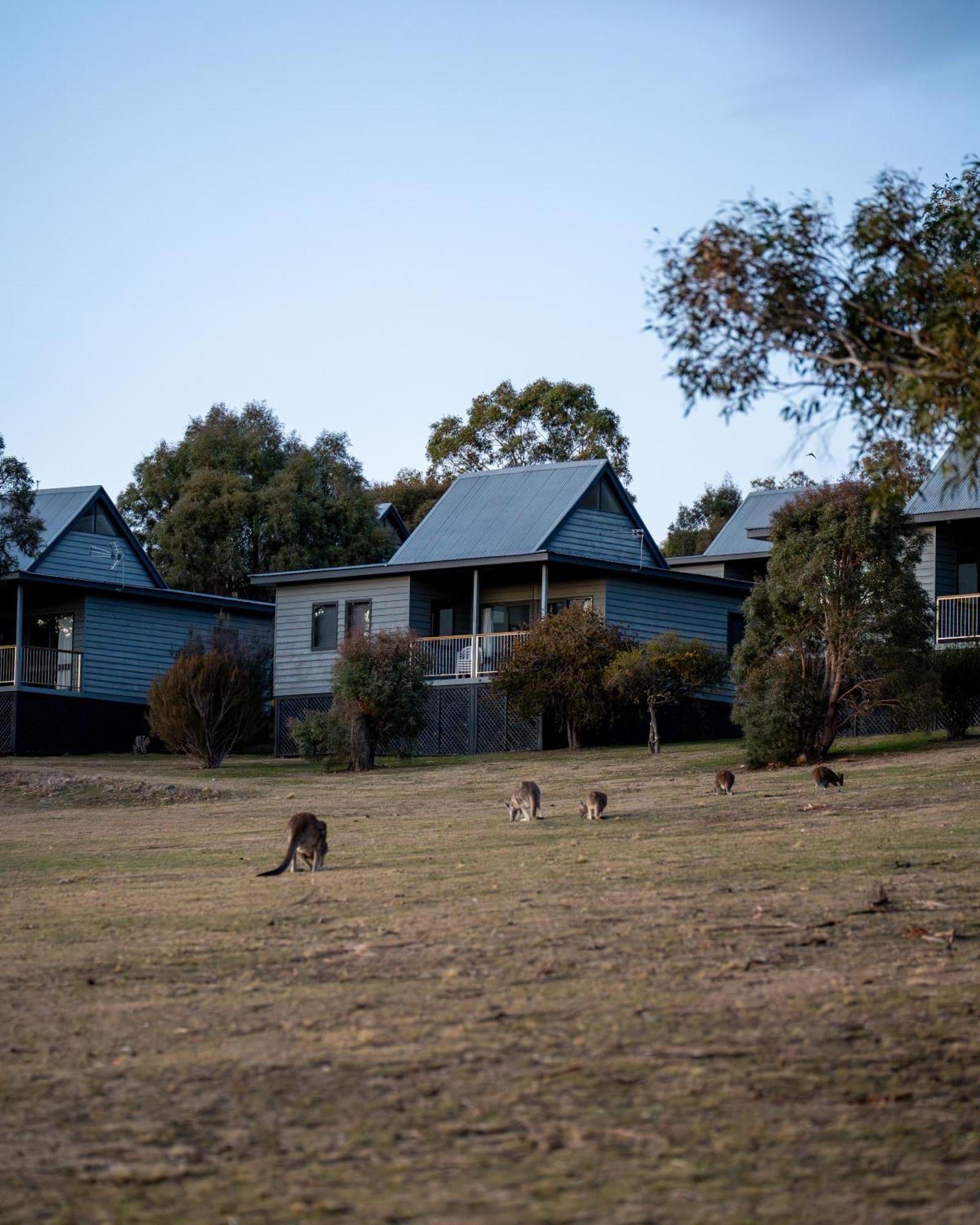 Adventist Alpine Village Jindabyne Eksteriør bilde